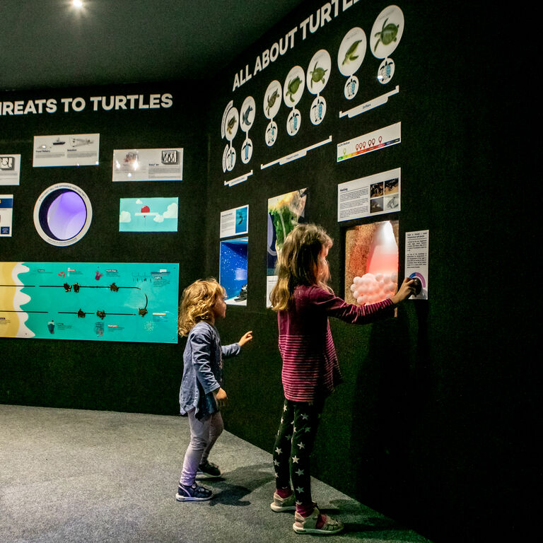 Two Oceans Aquarium: Media pack