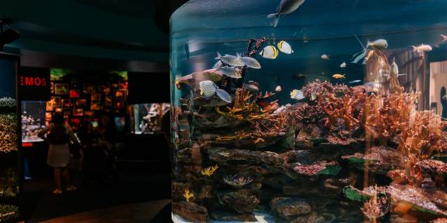 Two Oceans Aquarium | Tourism partners