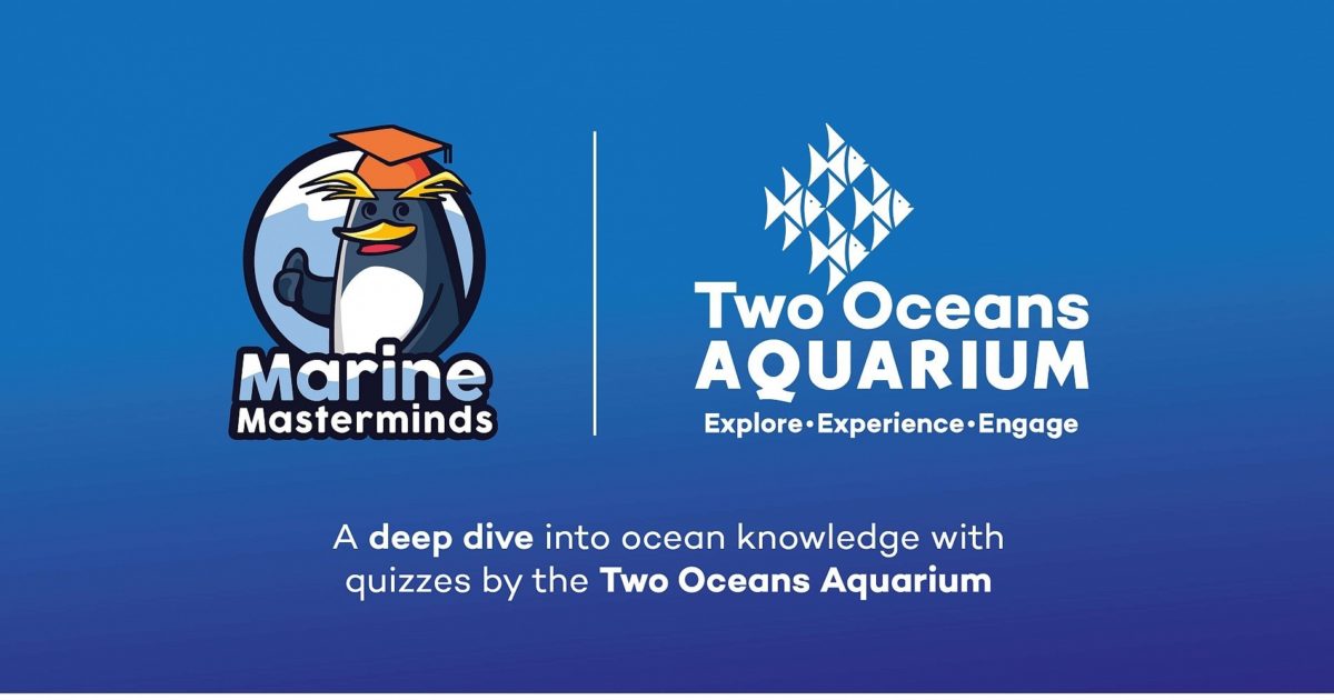 Two Oceans Aquarium | Marine masterminds: take the two oceans…