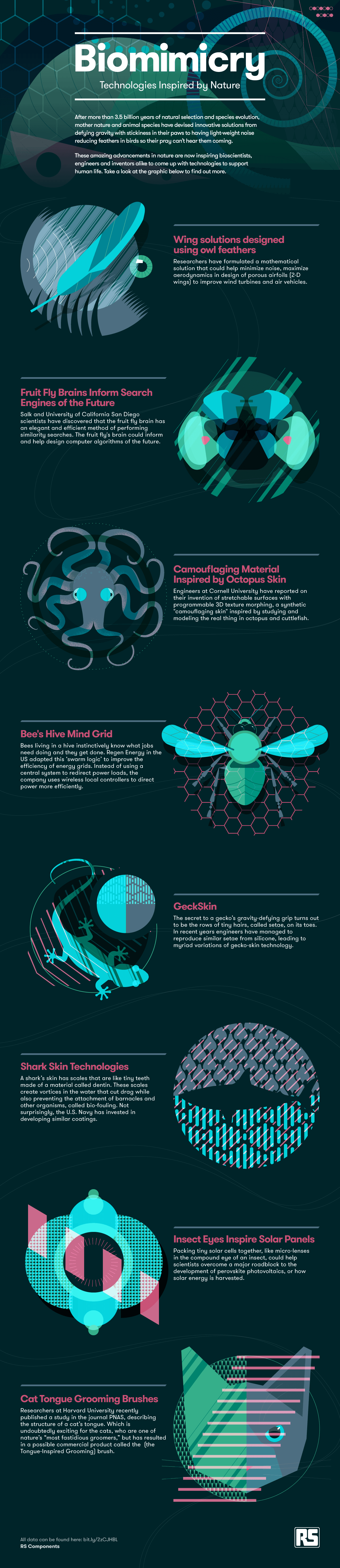 Biomimicry: Technologies Inspired By Nature